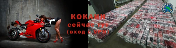 прущие грибы Богданович