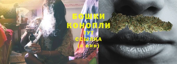 шишки Богородицк