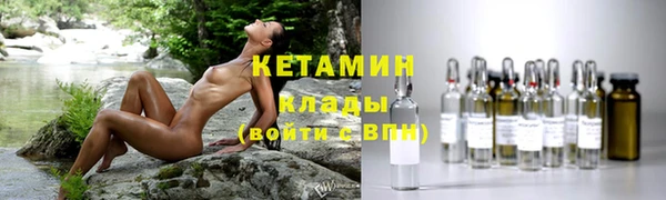 шишки Богородицк