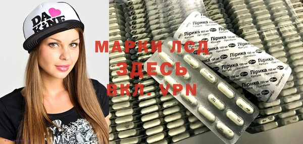 прущие грибы Богданович
