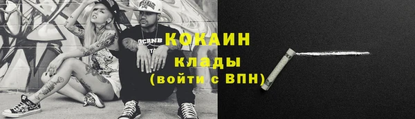 шишки Богородицк