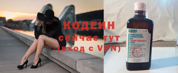прущие грибы Богданович