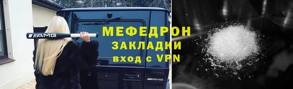 прущие грибы Богданович
