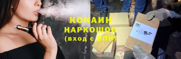 прущие грибы Богданович