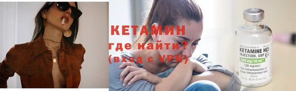 прущие грибы Богданович
