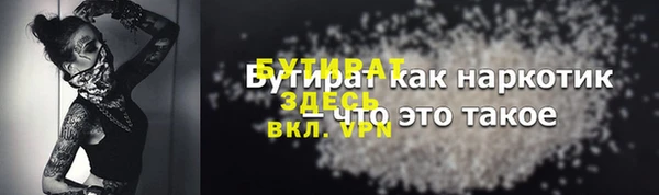 прущие грибы Богданович