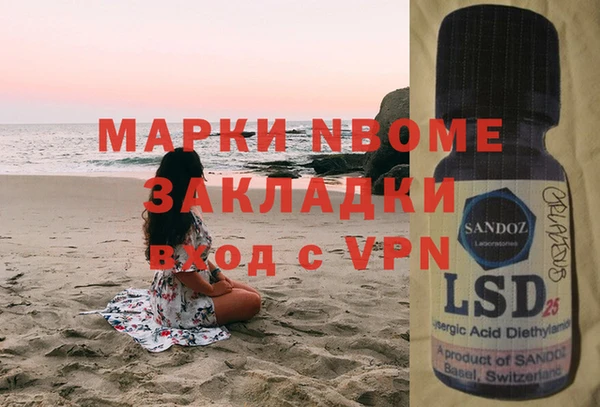шишки Богородицк