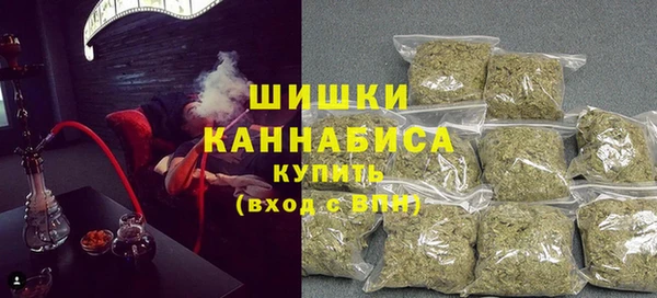 шишки Богородицк