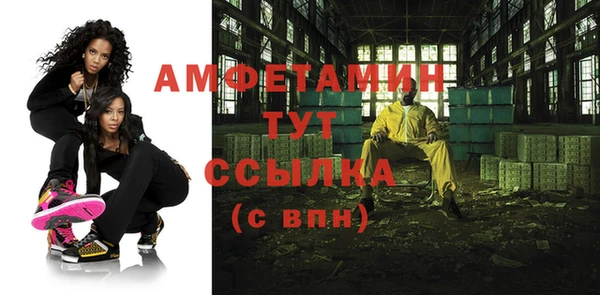 шишки Богородицк