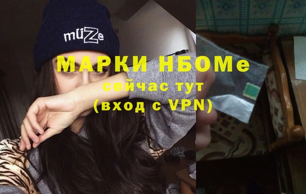 шишки Богородицк