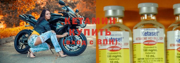 шишки Богородицк