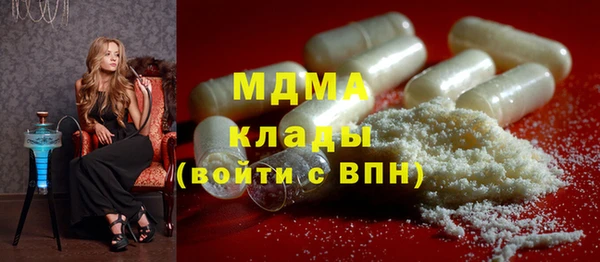прущие грибы Богданович