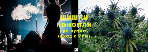 прущие грибы Богданович