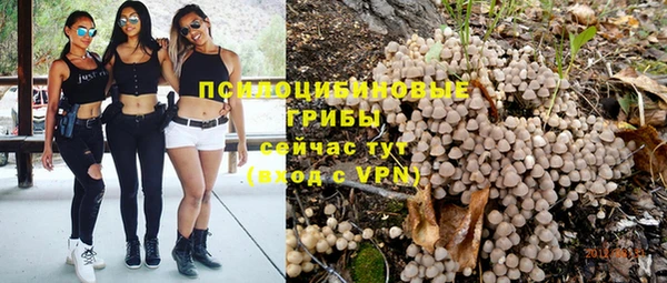 шишки Богородицк