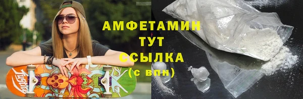 прущие грибы Богданович