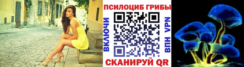 Галлюциногенные грибы Magic Shrooms  закладка  Нижний Новгород 
